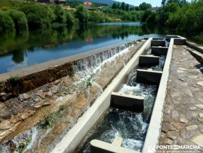 Pesquerías Reales - Monte de Valsaín; la acebeda;la cabrera madrid;rutas senderismo invierno